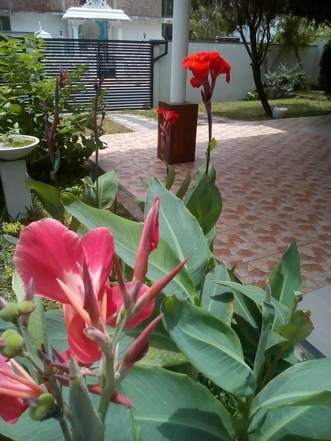 Villa 26 Bope Екстериор снимка